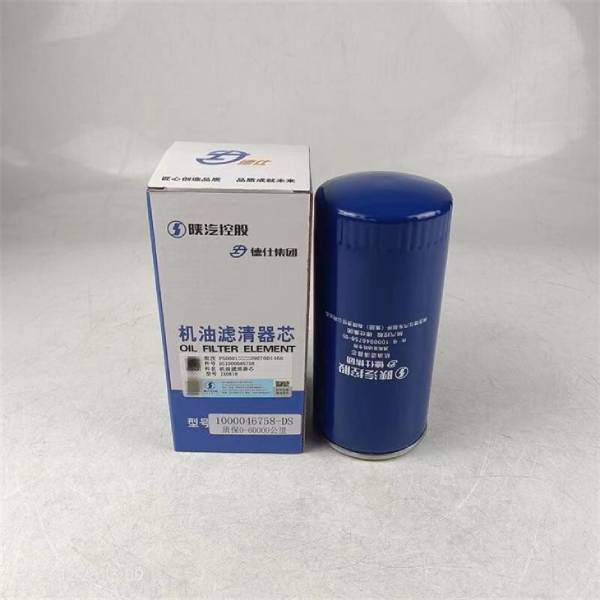 Shacman Truck Oil Filter